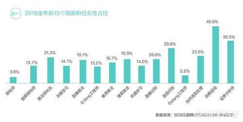 工程計(jì)算、計(jì)算機(jī)科學(xué)與技術(shù)、軟件工程、信息工程及信息技術(shù)咨詢 薪酬對比與職業(yè)前景分析